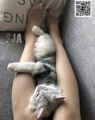 《年轻女医生》在线观看_蓝光免费观看电视剧