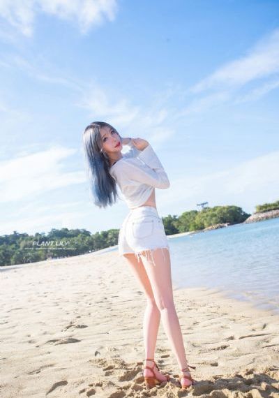 肉不团_DVD免费播放