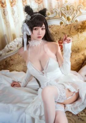 炽道电视剧免费观看全集在线播放_1080P在线视频观看